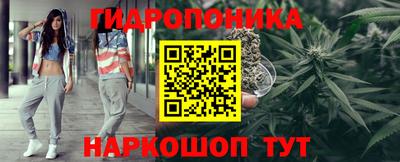 крисы Конаково