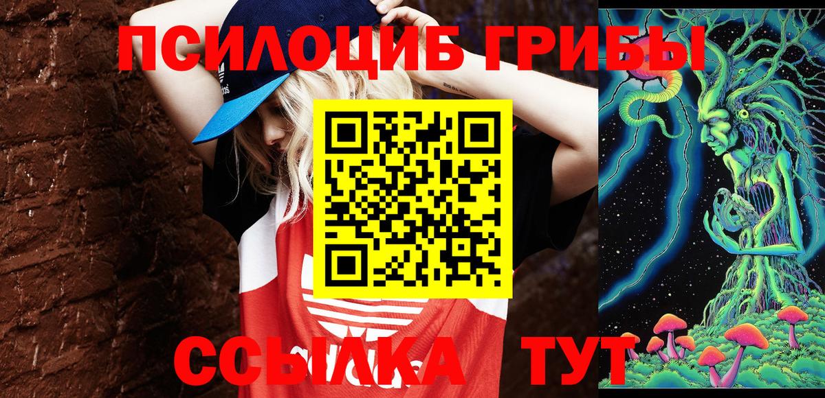 Псилоцибиновые грибы мухоморы Кизилюрт
